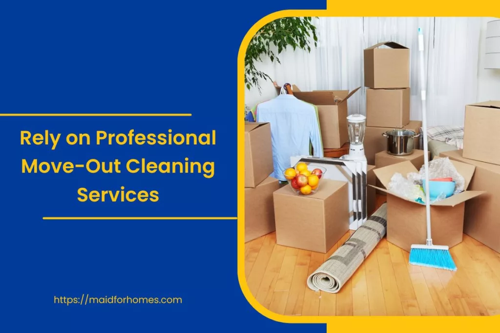 Professional Move-Out Cleaning Services