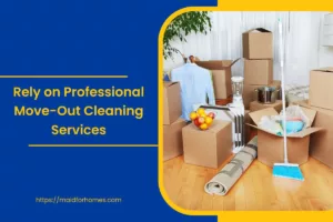 Professional Move-Out Cleaning Services